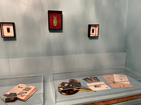 Le cabinetarium 4