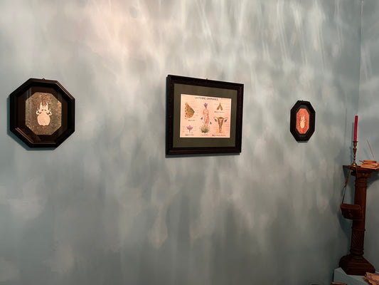 Le cabinetarium 5