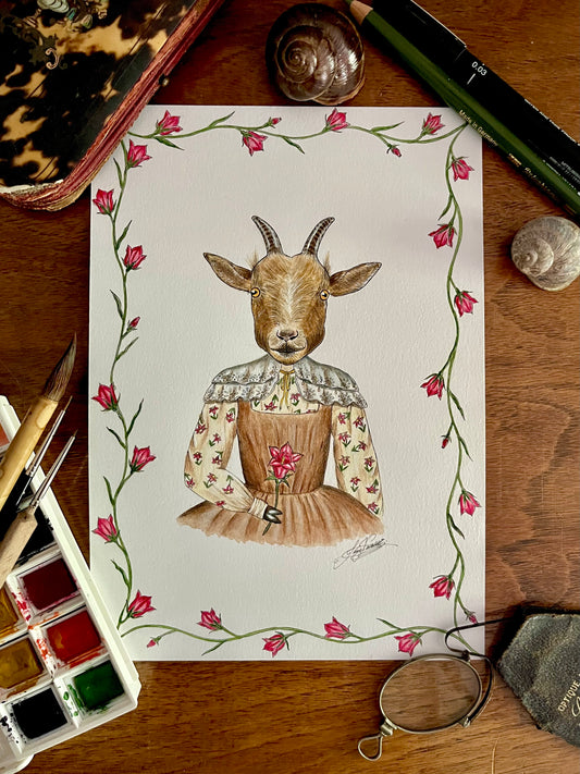 Illustration jeunesse : la chèvre