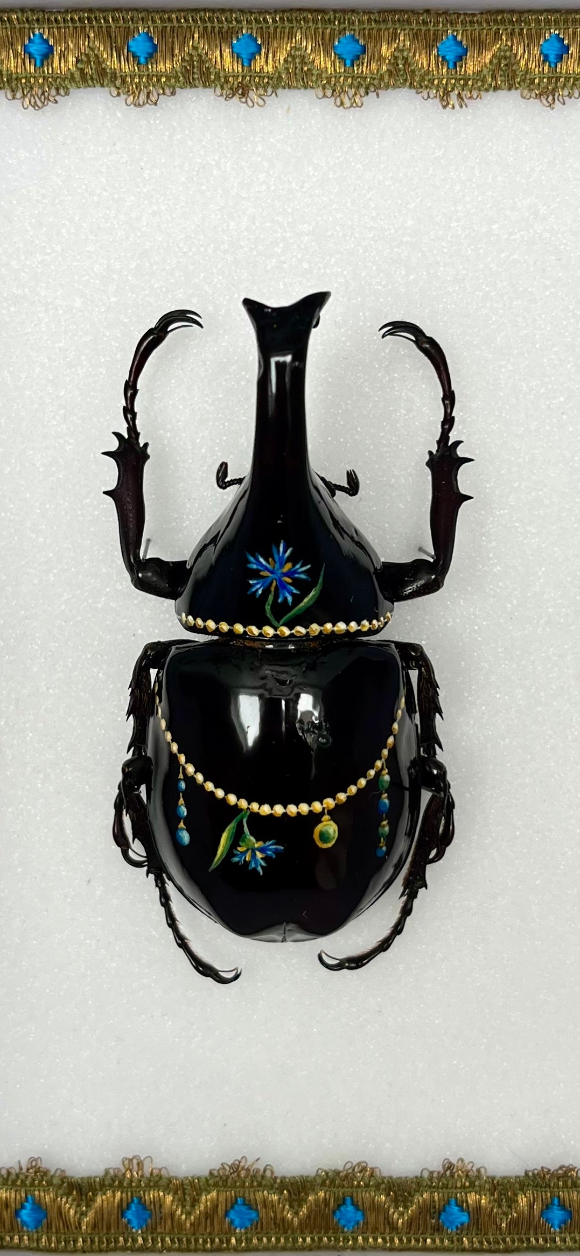 Insecte peint "Marie-Antoinette"