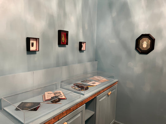 Le cabinetarium 1