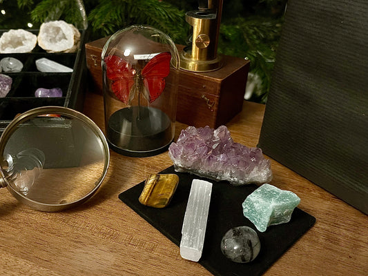 Le coffret du naturaliste (avec Cimothoe sangaris)