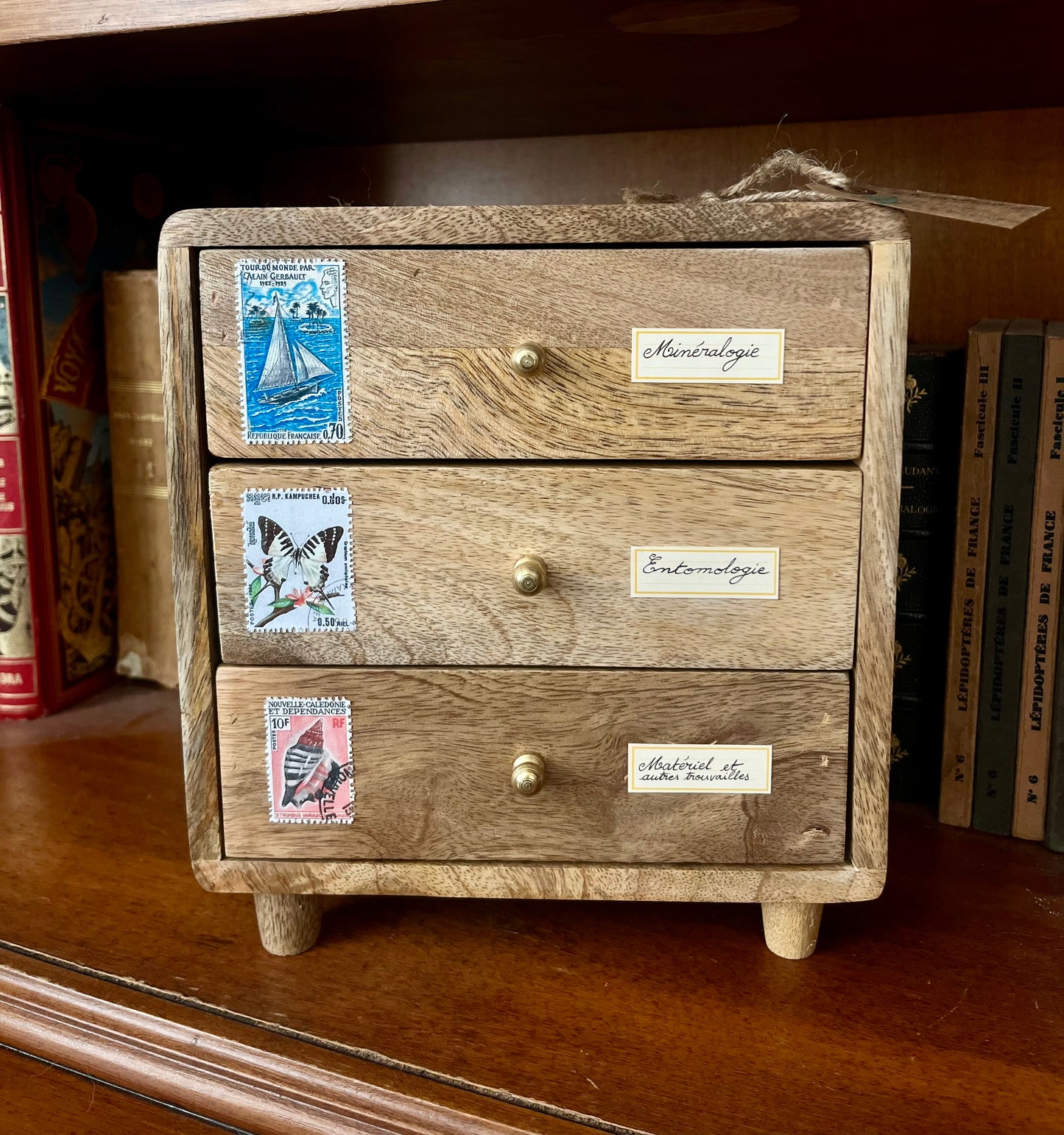 Cabinet de curiosités miniature