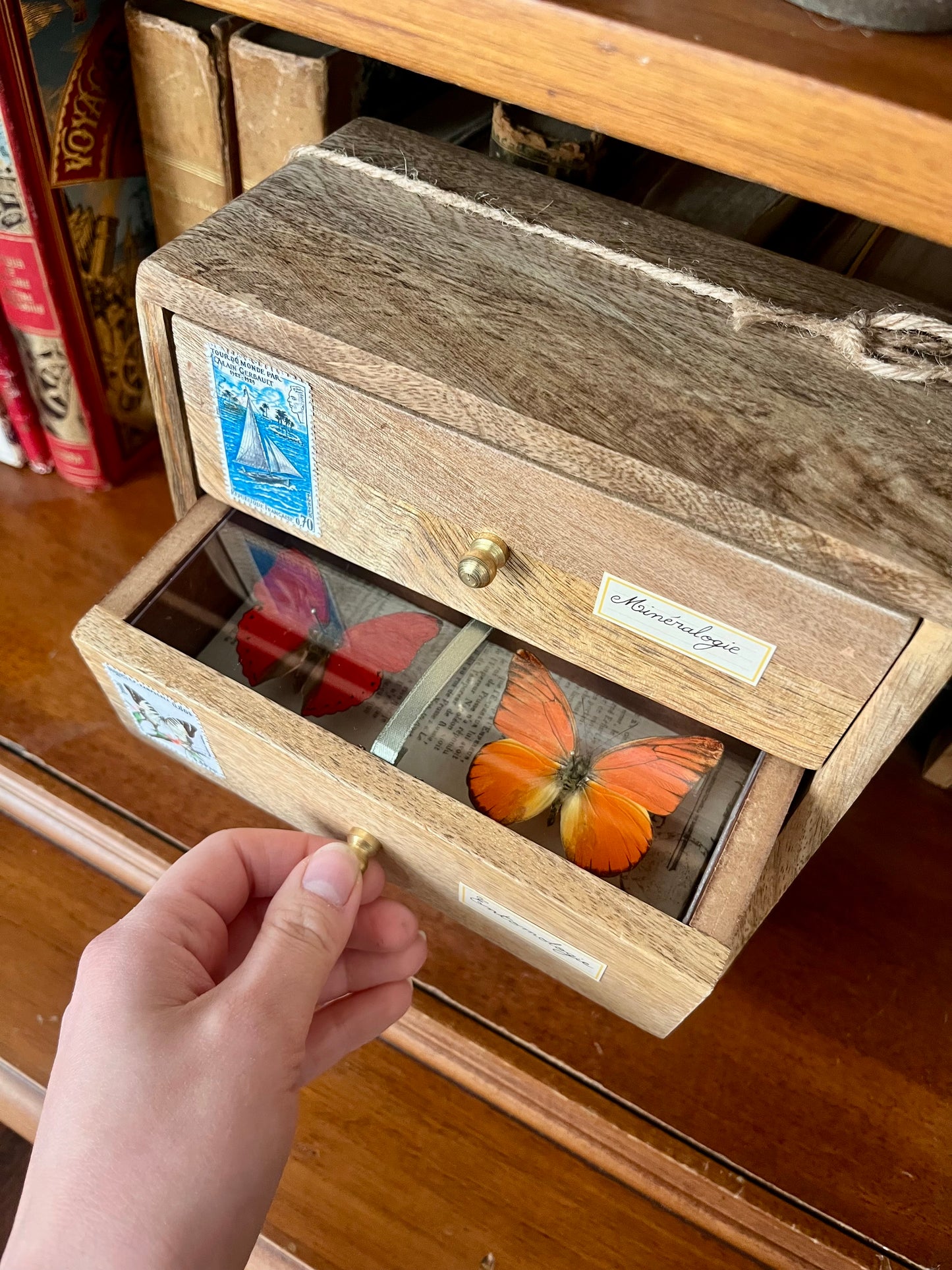 Cabinet de curiosités miniature