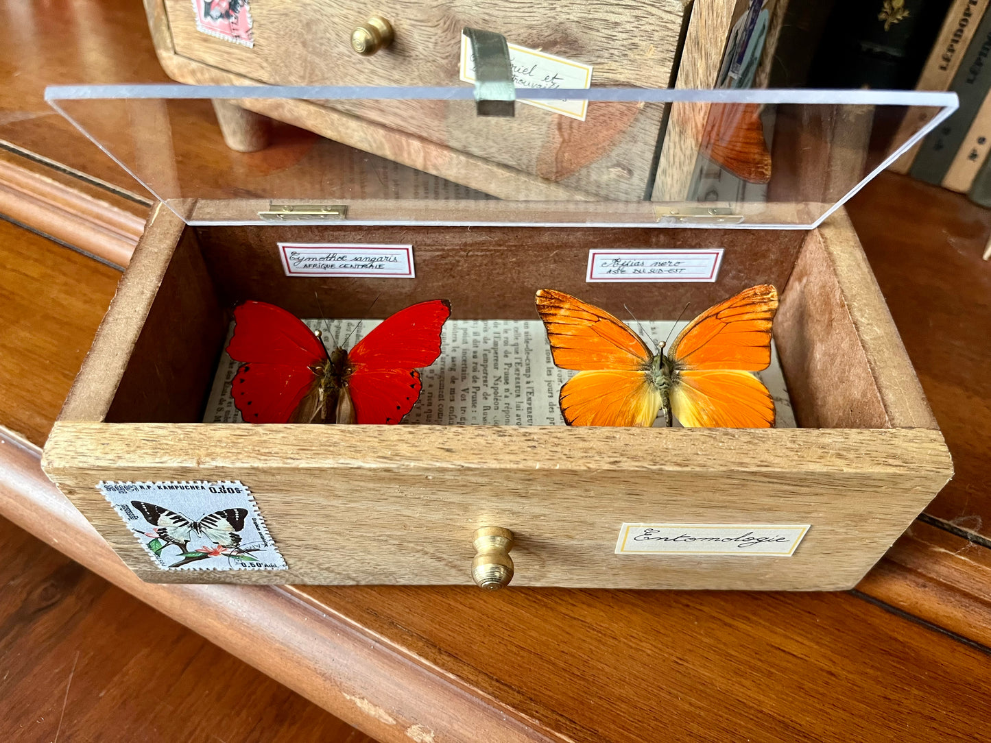 Cabinet de curiosités miniature